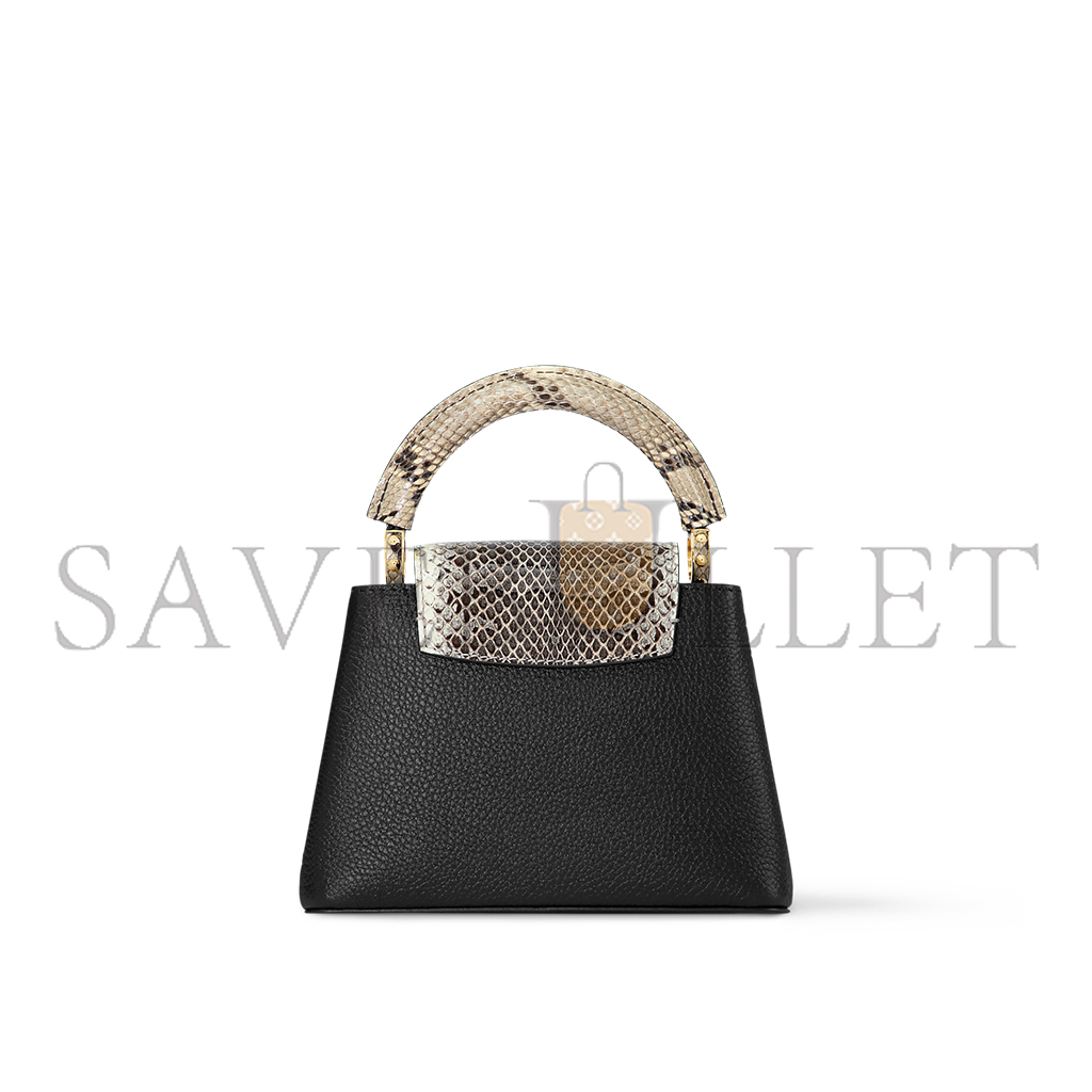 LOUIS VUITTON CAPUCINES MINI N96467 (21*14*8cm)